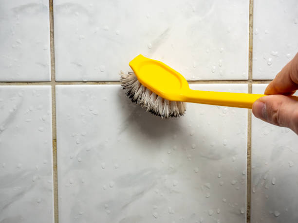Best Certified Mold Removal  in Bellwood, PA