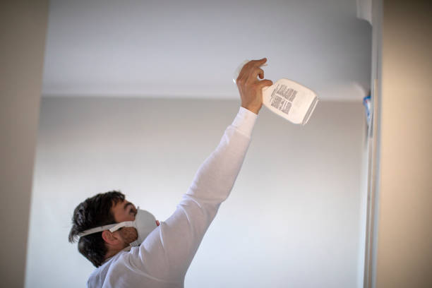 Best Attic Mold Removal  in Bellwood, PA
